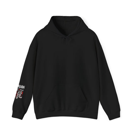 dragon hoodie