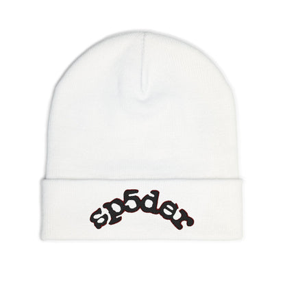 sp5der beanie
